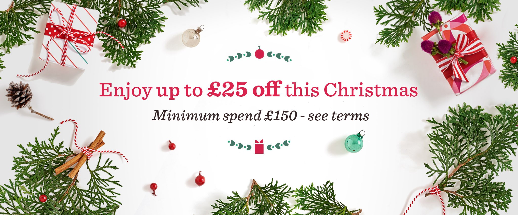 Christmas voucher campaign web asset